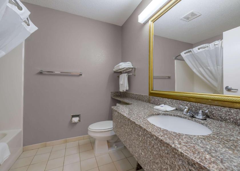 Georgia Dawsonville 1 King Bed | Non-Smoking, Micfridge