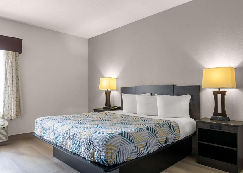 Georgia Dawsonville 1 KING BED | MOB ACCESS TUB NSMK MINIFRIDG