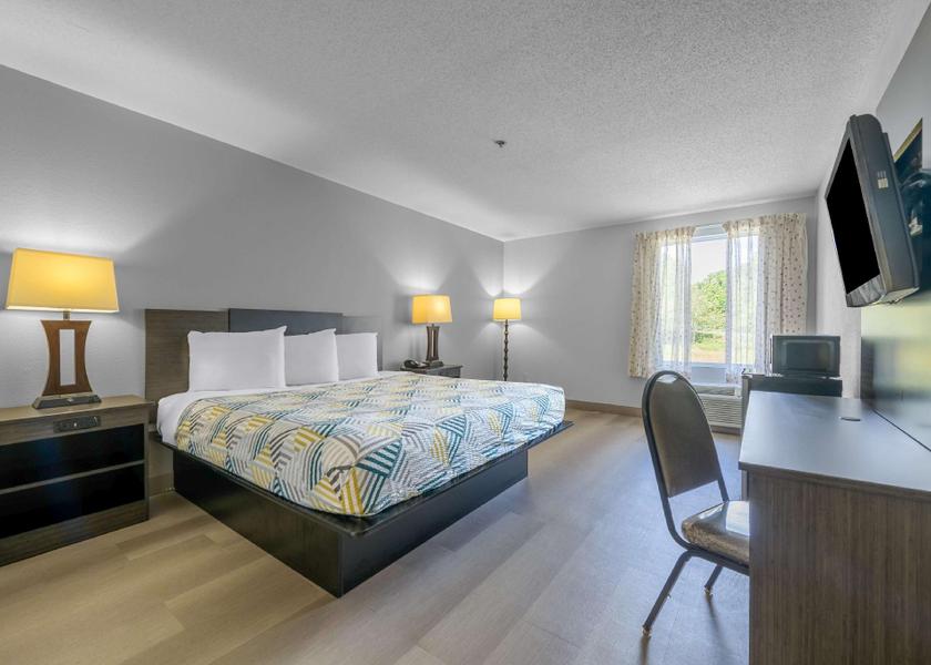 Georgia Dawsonville 1 King Bed | Non-Smoking, Micfridge