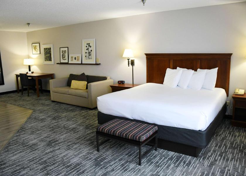 Iowa Fort Dodge Suite - 1 King Bed, Nonsmoking, Sofabed For One Person, Kitchenette, Full Refrigerator, Full Breakfa