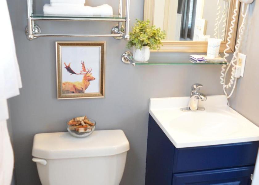 Pennsylvania Jim Thorpe Double Room with Mountain View