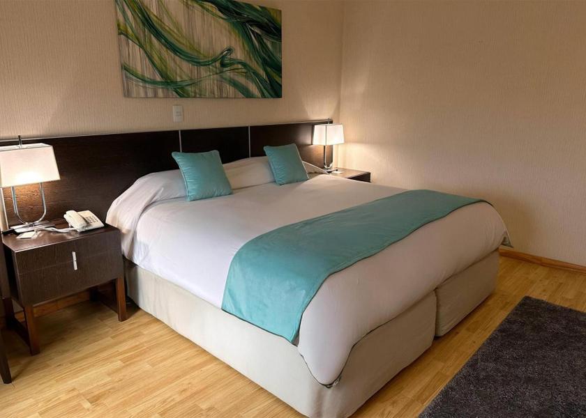 Tucumán Province Tucuman 1 King Bed or 2 Single Beds, Junior Suite, Non-Smoking 