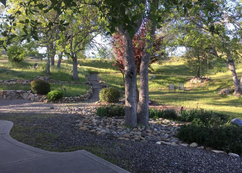 surrounding environment