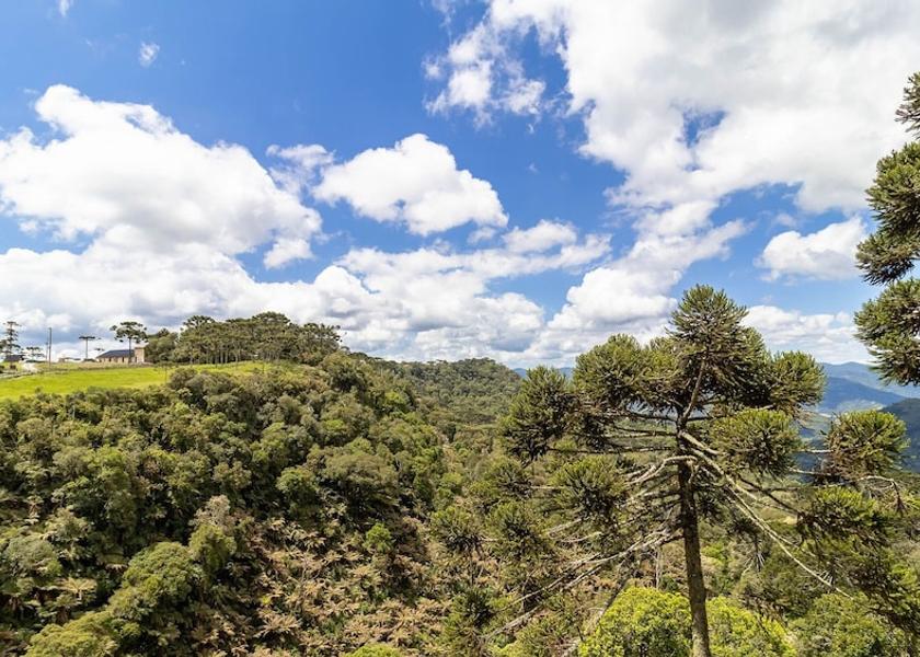 Santa Catarina (state) Urubici Exterior Detail