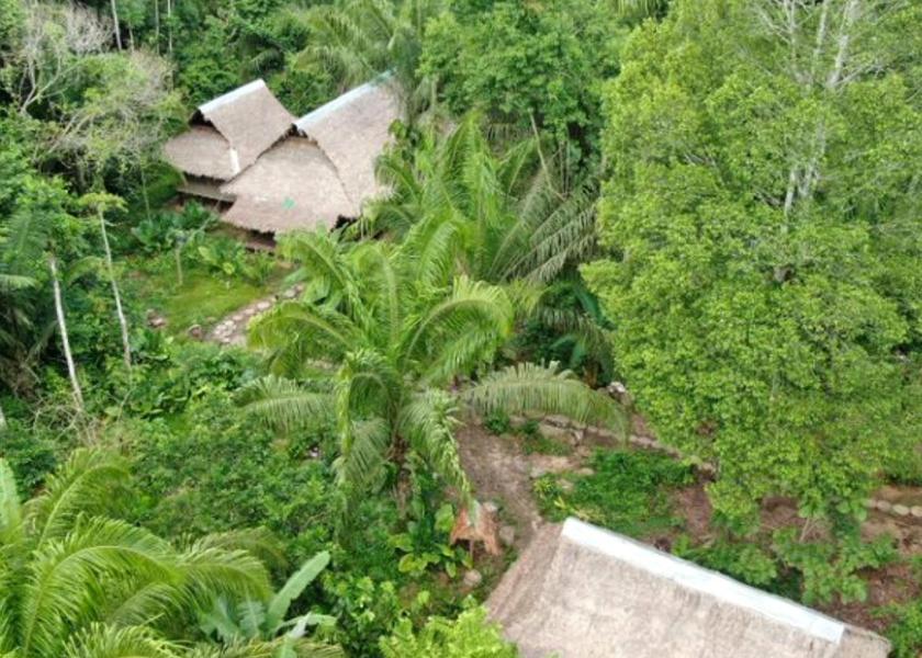 Madre de Dios Region Tambopata 