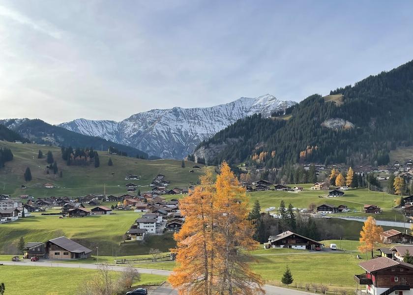 Canton of Bern Adelboden View from room