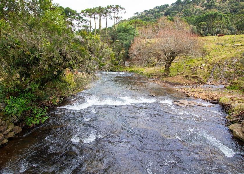 City View from Property