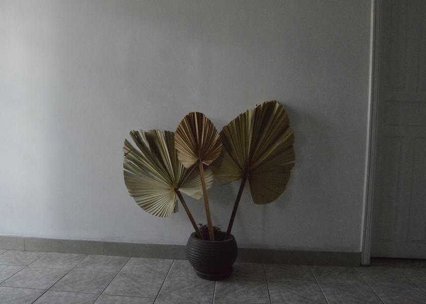 São Paulo State Cotia Interior Entrance
