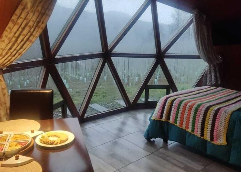 Araucanía Region Pucón Room