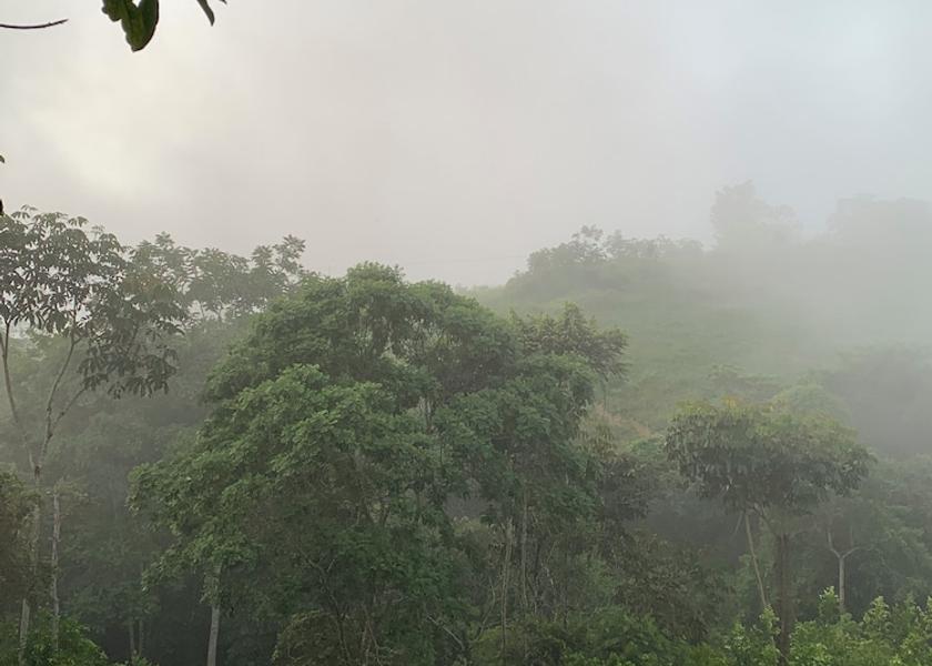 Santander Giron Exterior Detail