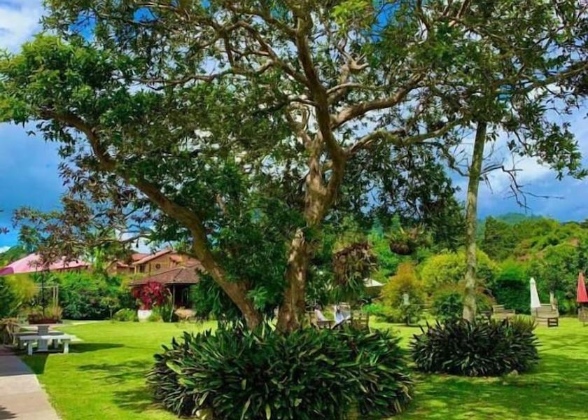 Antioquia Rionegro Property Grounds