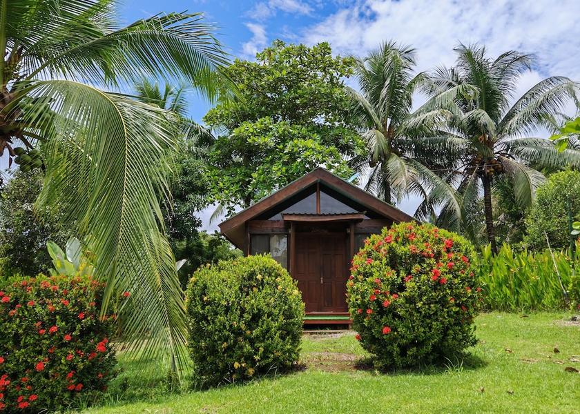 Puntarenas Province Puerto Jiménez Exterior Detail