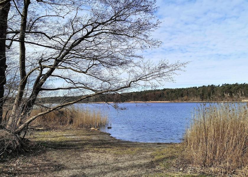 Brandenburg Region Strausberg View from Property