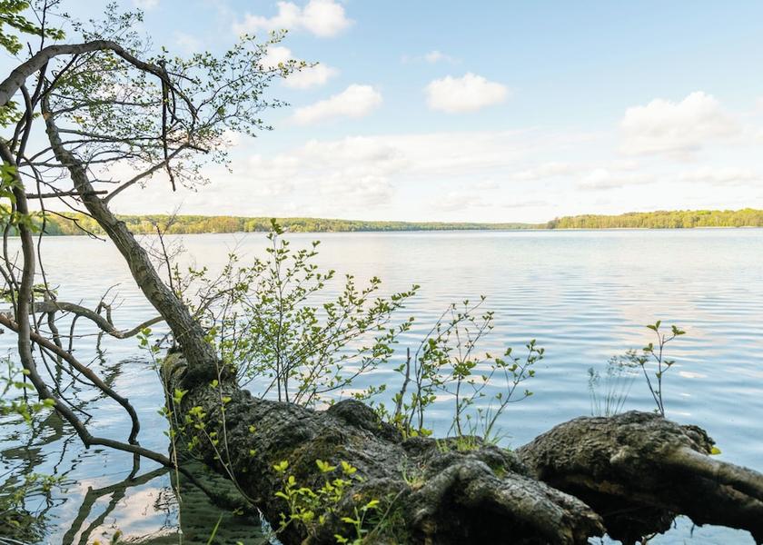 Brandenburg Region Joachimsthal Lake