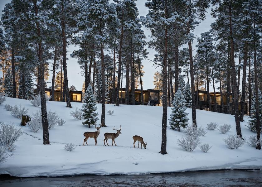 Land View from Property