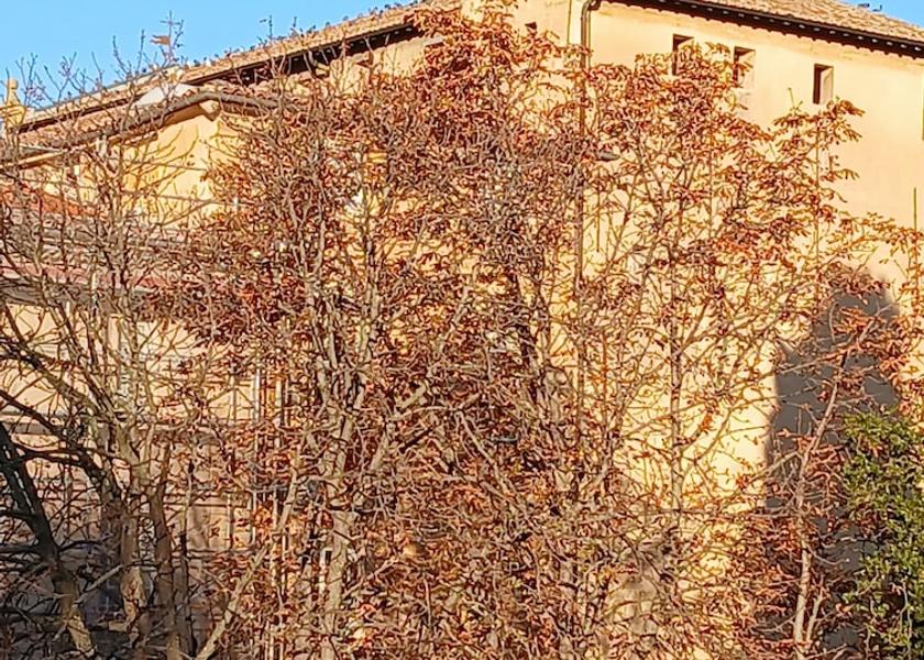 Provence - Alpes - Cote d'Azur Aix-en-Provence Room