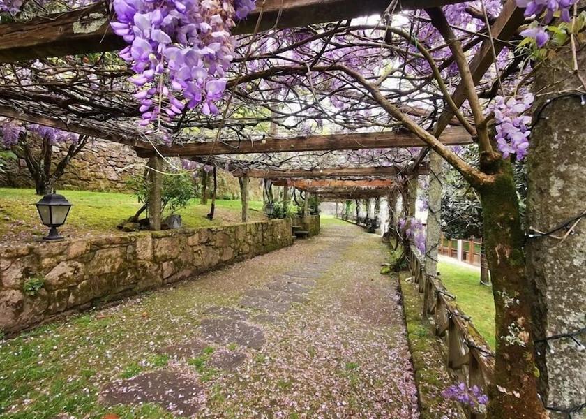 Galicia Teo Terrace