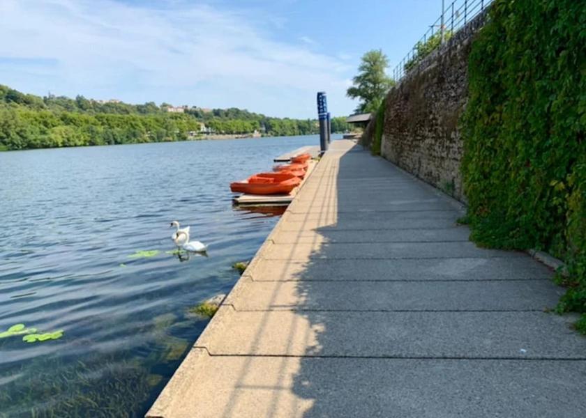 Auvergne-Rhone-Alpes Lyon View from Property