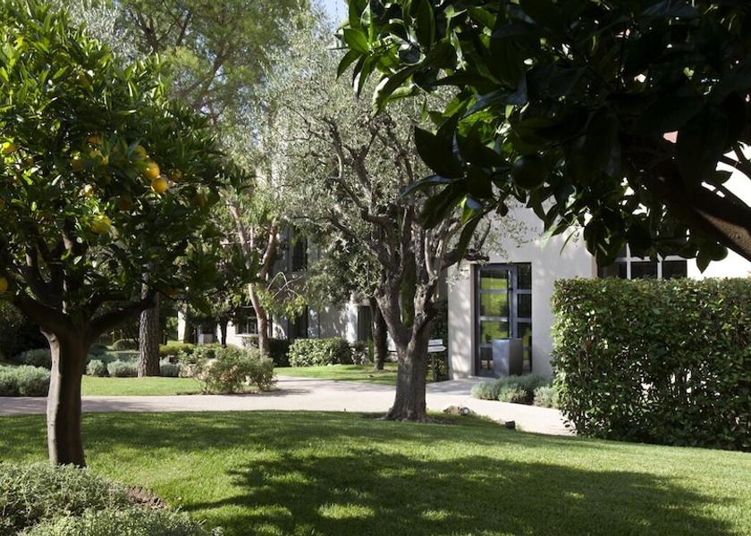 Provence-Alpes-Côte d'Azur Mougins Garden