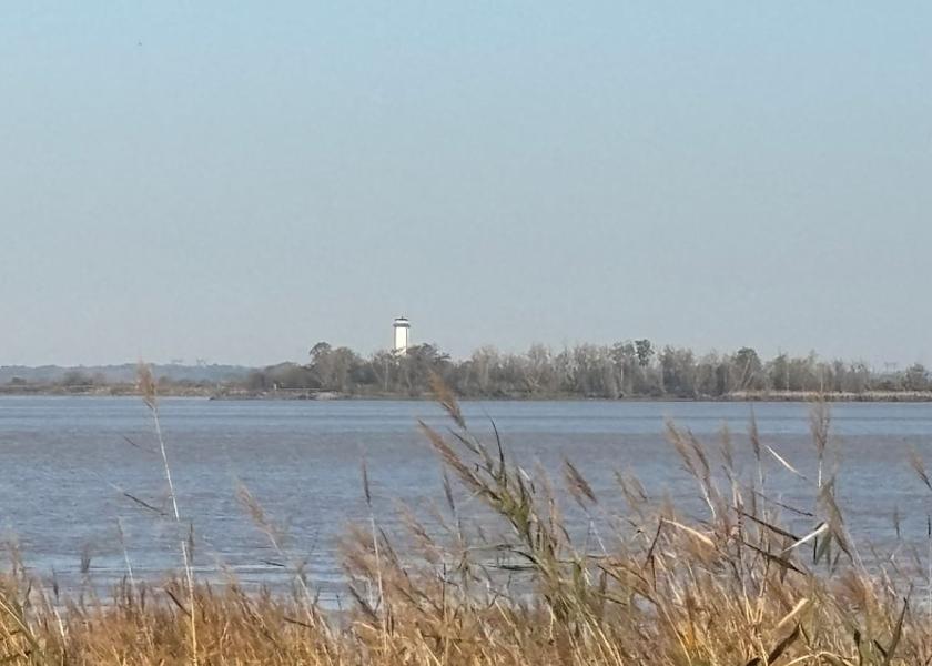 Nouvelle-Aquitaine Pauillac Land View from Property
