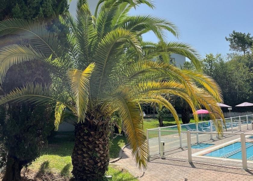 Nouvelle-Aquitaine Anglet Exterior Detail