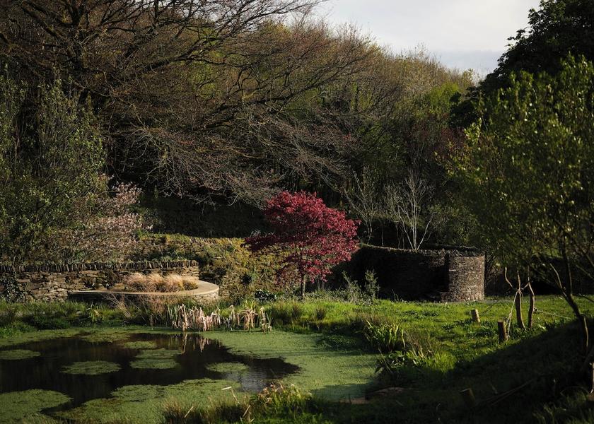 England Ivybridge Garden