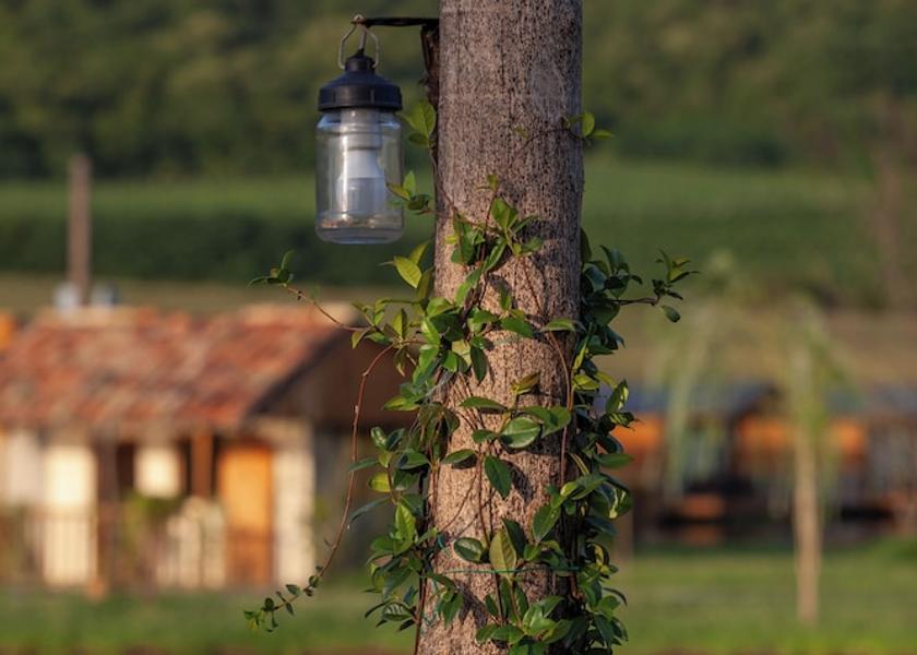 Kakheti Telavi Exterior Detail