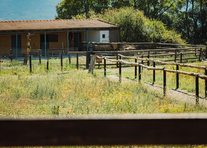 Western Greece Kalavrita Room