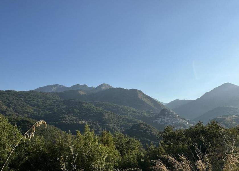 Calabria Sangineto View from Property