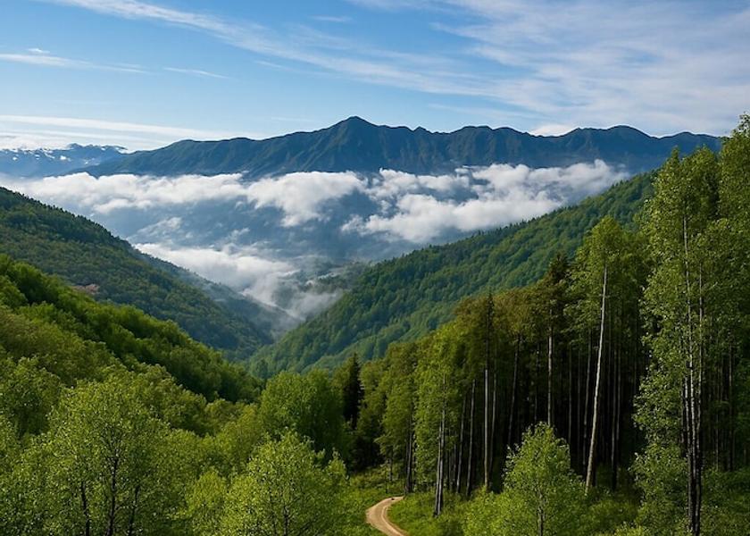 Lombardy Brunate Exterior Detail