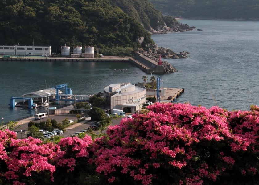 Nagasaki Shinkamigoto View from property