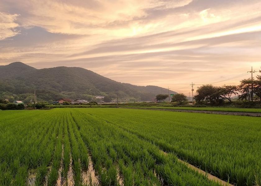 Land View from Property