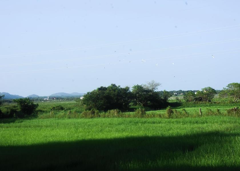 Southern Province Thissamaharama Facade