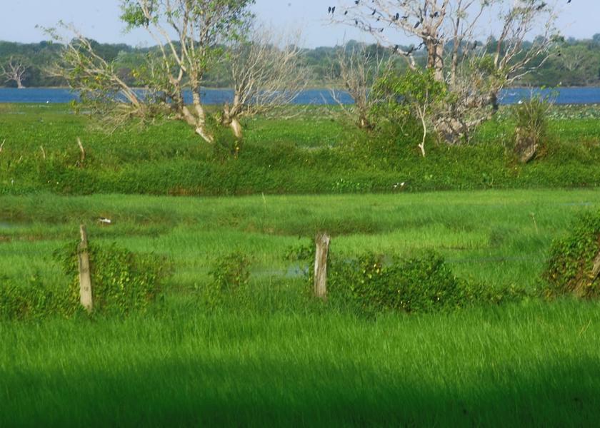 Southern Province Thissamaharama Facade