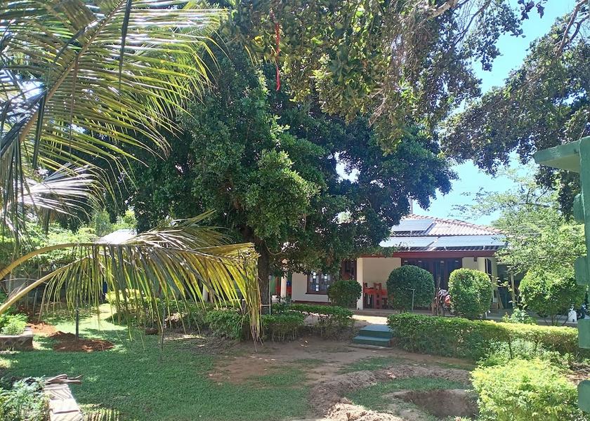 Southern Province Thissamaharama Porch