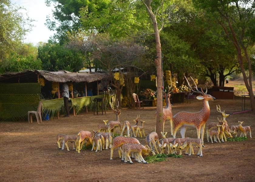 Southern Province Thissamaharama Facade