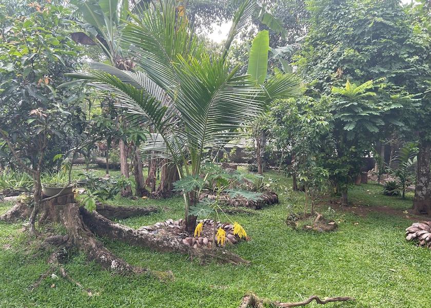 Central Province Kandy Exterior Detail