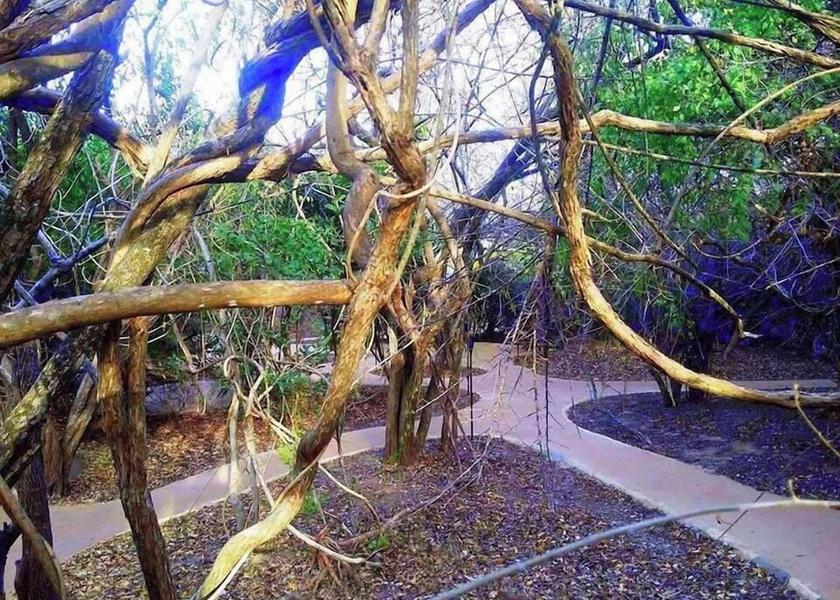 Southern Province Thissamaharama Exterior Detail