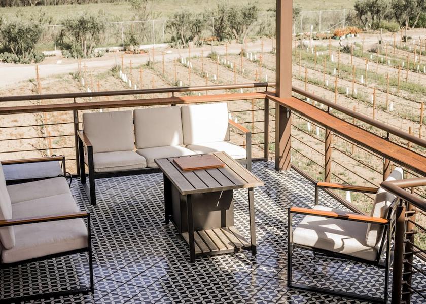 Baja California Valle de Guadalupe Terrace