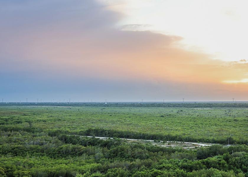 Quintana Roo Puerto Morelos View from Property