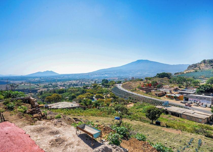 Jalisco Tequila View from Property