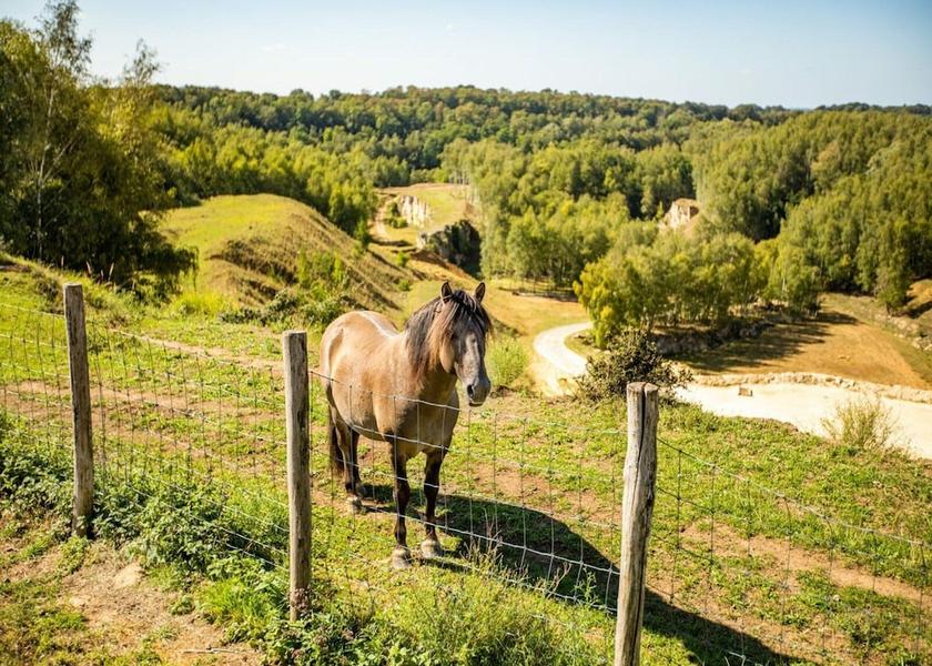Limburg Bemelen View from Property