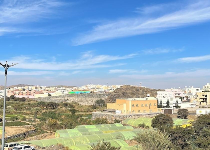 City View from Property