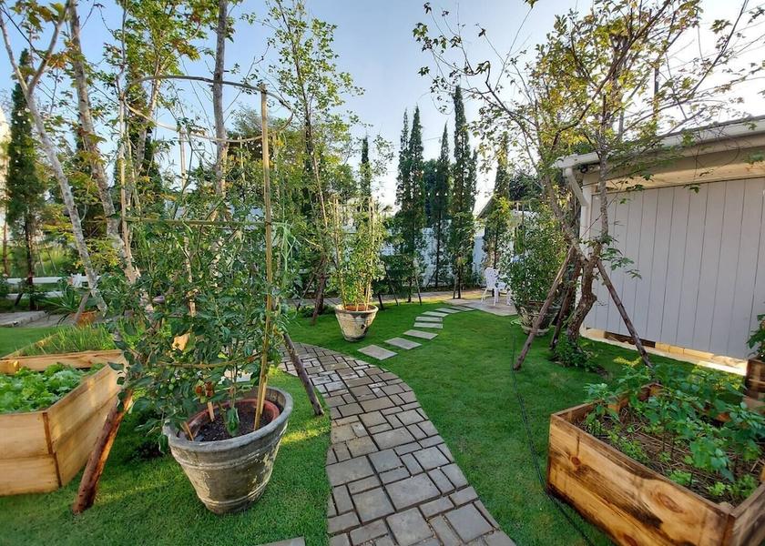 Chiang Mai Province Saraphi Garden