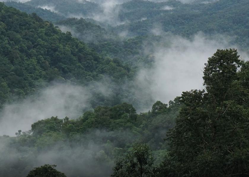 Chiang Mai Province Mae On View from Property