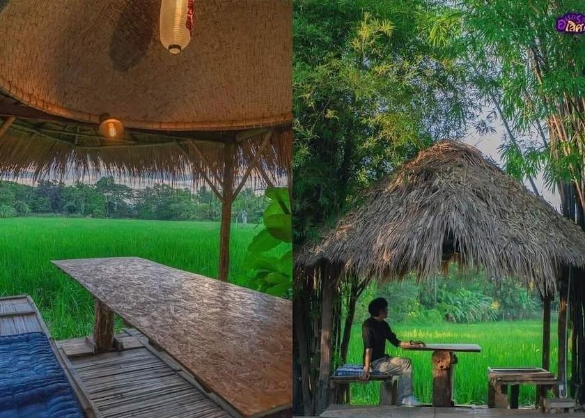 Chiang Mai Province San Kamphaeng Gazebo