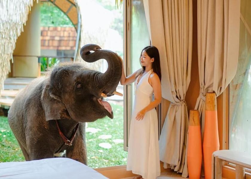 Chiang Mai Province Mae On Room