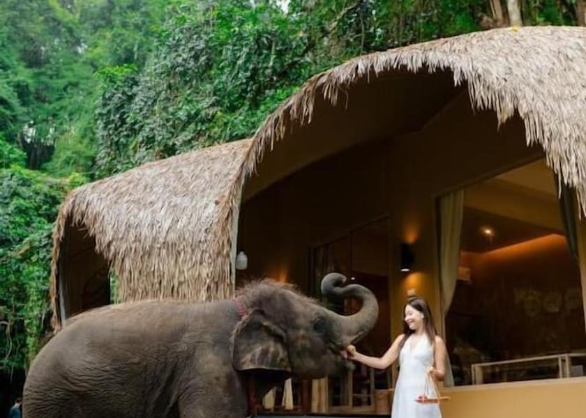 Chiang Mai Province Mae On Facade