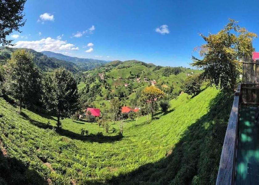 Rize Province Ardeşen Terrace/patio