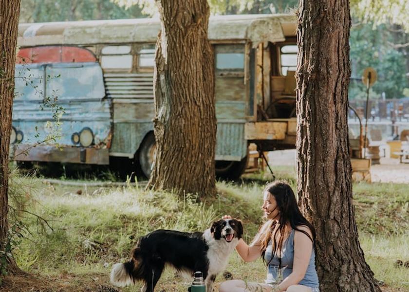 Maldonado Maldonado Exterior Detail